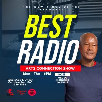 Arts Connection Show